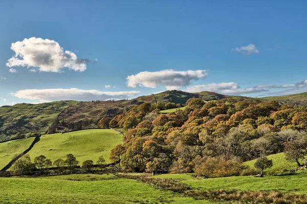 Venkovských anglická scéna s podzimní stromy a grren poli. — Stock fotografie