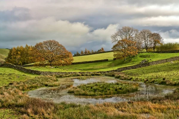 Una escena de otoño inglesa con un grupo de árboles junto a una tarn o un estanque . — Foto de Stock