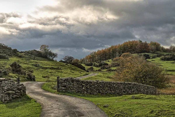 Una tortuosa strada di campagna che attraversa i prati e gli alberi dell'autunno rurale . — Foto Stock