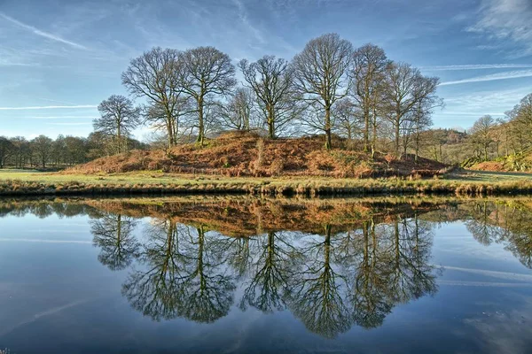 Reflexões de um copse de árvores em Elterwater . — Fotografia de Stock