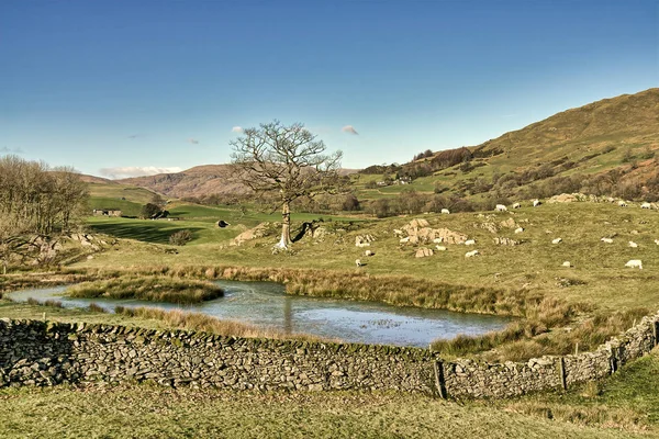 Un piccolo tarn vicino a Stavely nel Lake District inglese . — Foto Stock
