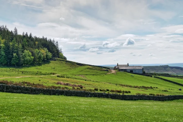 Uma fazenda rural em uma encosta em Northumberland — Fotografia de Stock