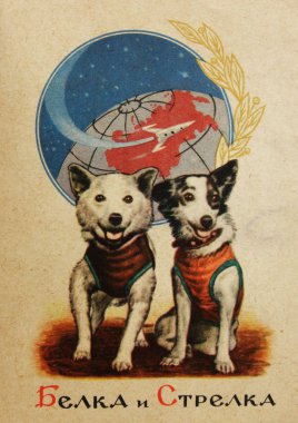 SSCB-Circa 1960'larda: Sovyet kartpostal Sovyet uzay köpekler Belka ve Strelka, Rus Beland ve Strelka metin gösterir