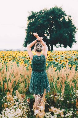 Güzel kız siluet ayçiçeği tarlalarında ayakta. huysuz vintage bakmak 
