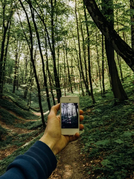 Pria Yang Memegang Smartphone Menangkap Jejak Hutan Musim Semi Fotografi — Stok Foto