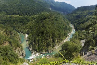 Saf turkuaz su dağ Nehri Merkezi Karadağ Milli Parkı içinde taş rapids üstesinden gelir. Ekoloji kavramı.