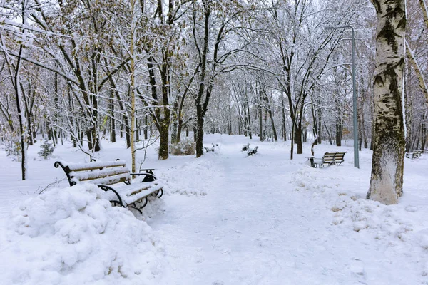Alley City Park Covered Snow Beautiful View Snow Covered Alley — Stock Photo, Image