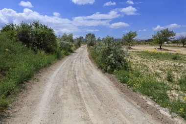 Patikadan bir yaz gününde yeşil bir bahçe alanı yakınındaki kırsal manzara. Yaz peyzaj alanı ve boş yol ile. Highlands ufukta.