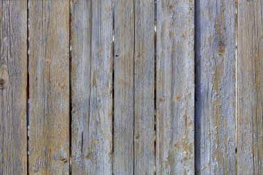 Doku yıpranmış eski gri ahşap çit