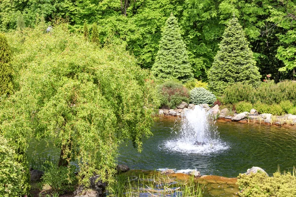 아름다운 여름 공원에서 분수 장식 연못. — 스톡 사진