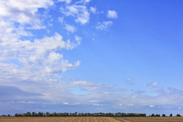 De grands nuages blancs flottent dans le ciel bleu au-dessus de l'horizon du champ et de la ceinture forestière . — Photo