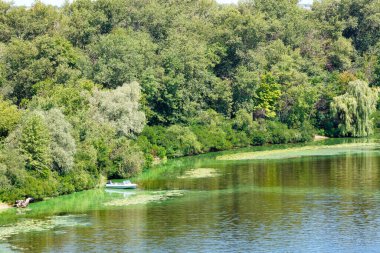 Dnipro 'nun güzel körfezi. Kıyıya demirlemiş bir balıkçı teknesi ve sazlıklarla kaplanmış bankalar.