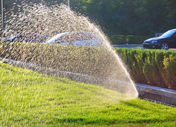 Beautiful Spray Fountain Automatic Sprinkler Irrigates Lawn Backdrop Clipped Bushes — Stock Photo, Image