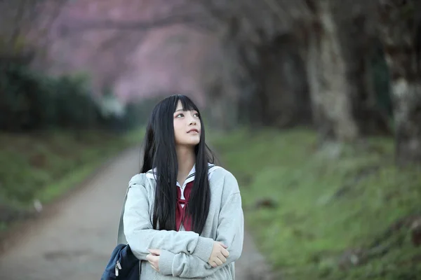 Escola Japonesa Menina Vestido Olhando Sakura Flor Natureza Passarela — Fotografia de Stock