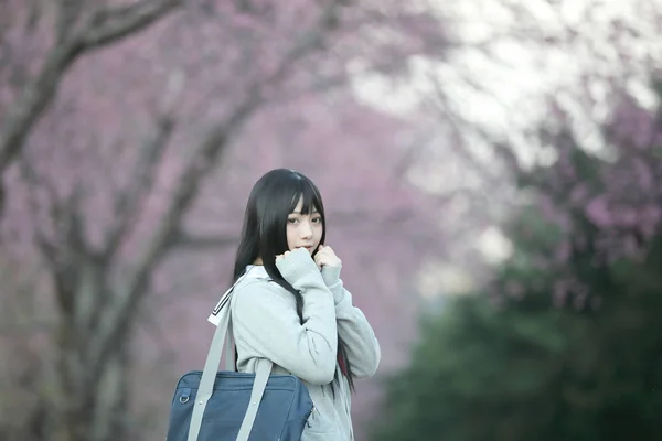 Japon Liseli Kız Elbise Görünümlü Sakura Çiçek Doğa Geçit — Stok fotoğraf