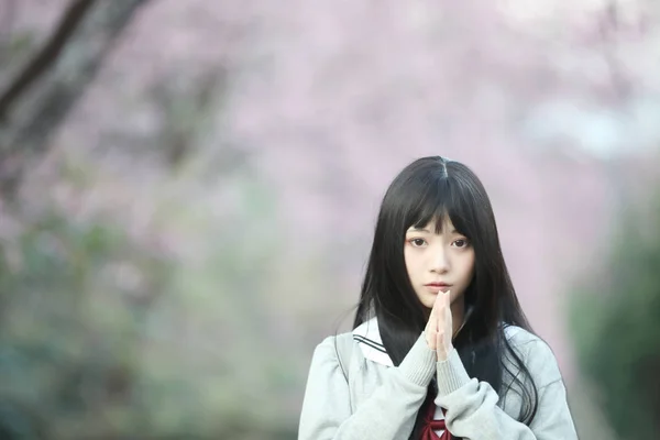 日本学校女孩礼服寻找樱花自然走道 — 图库照片