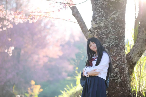 Escola Japonesa Menina Vestido Olhando Sakura Flor Natureza Passarela — Fotografia de Stock