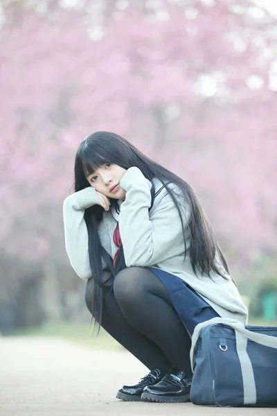 Japanska Skolflicka Dress Sittande Med Sakura Blomma Natur Gångväg — Stockfoto