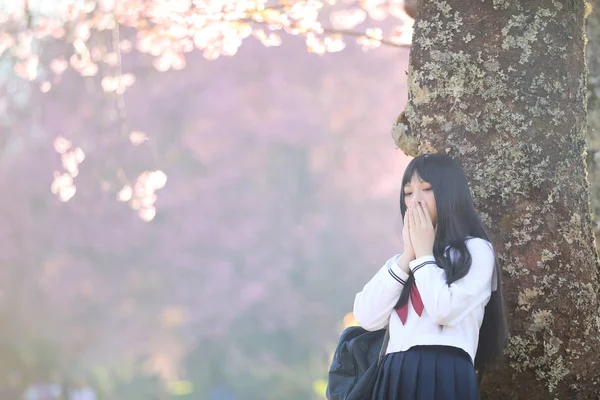 Gadis Sekolah Jepang Gaun Mencari Bunga Sakura Jalan Alam — Stok Foto