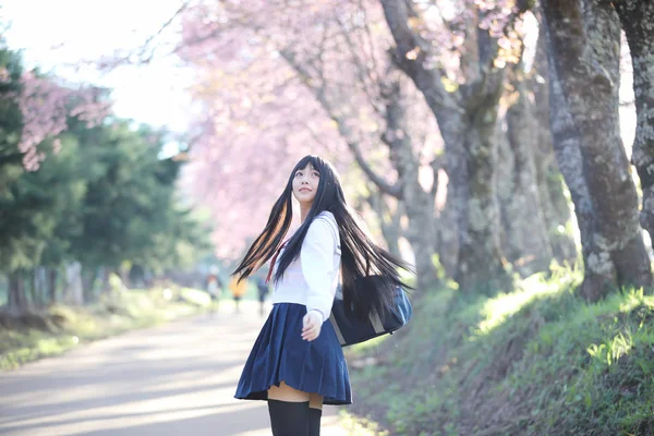 Escola Japonesa Menina Vestido Olhando Sakura Flor Natureza Passarela — Fotografia de Stock