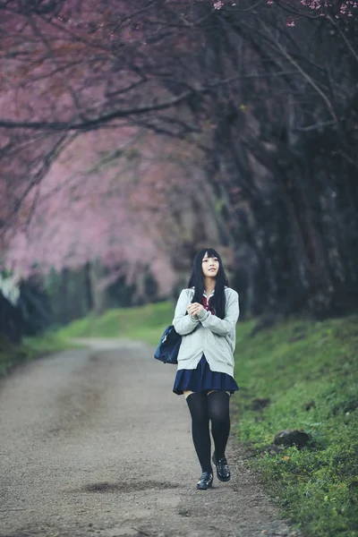 Escola Japonesa Menina Vestido Olhando Sakura Flor Natureza Passarela — Fotografia de Stock