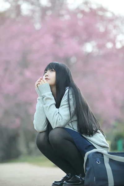 Japanska Skolflicka Dress Sittande Med Sakura Blomma Natur Gångväg — Stockfoto