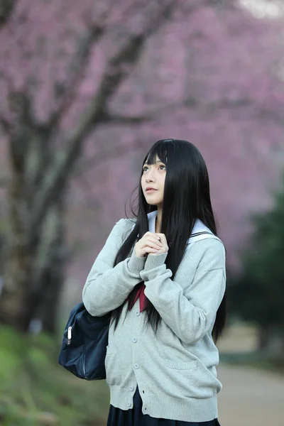 Escola Japonesa Menina Vestido Olhando Sakura Flor Natureza Passarela — Fotografia de Stock