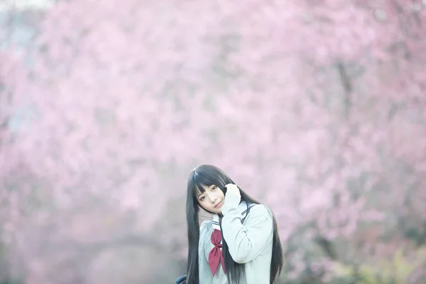 Платье Японской Школьницы Выглядит Цветок Сакуры — стоковое фото