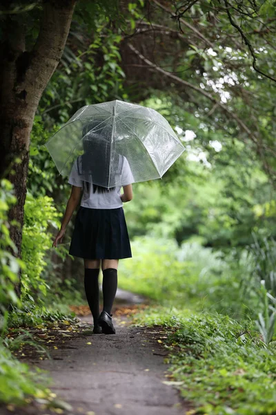 Retrato Niña Escuela Asiática Caminando Con Paraguas Pasarela Naturaleza Lluvia —  Fotos de Stock