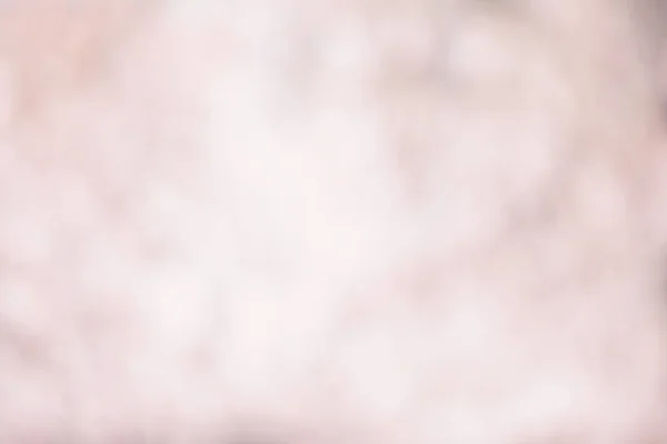 Розовый Фон Цветов Сакуры — стоковое фото