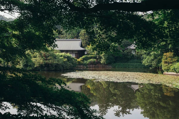 Japanese temple with japanese maples tree and river