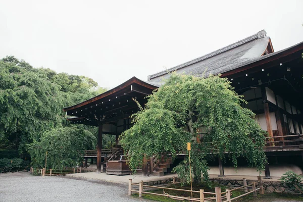 Японської Temple Японською Клена Дерева Листя Кіото Vintage Фільм Стиль — стокове фото
