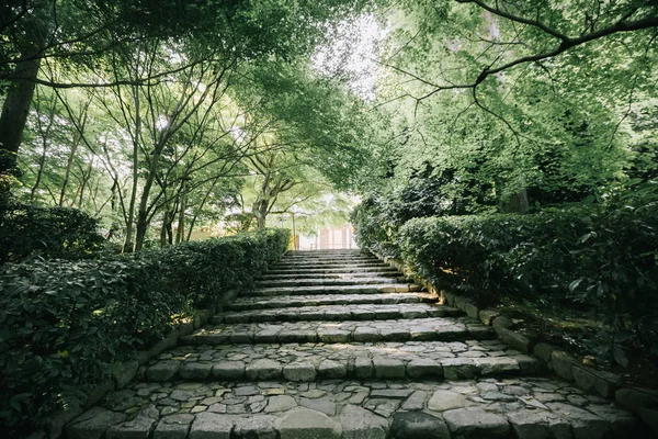 Pasarela Jardín Japonés Con Hojas Árbol Película Estilo Vintage —  Fotos de Stock