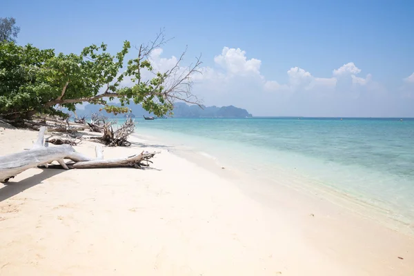 Tropikalny Zachód Słońca Plaży Krabi Tajlandia — Zdjęcie stockowe