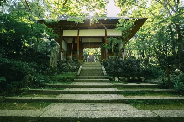 Templo Japonés Con Hojas Arce Japonés Kioto Estilo Película Vintage — Foto de Stock