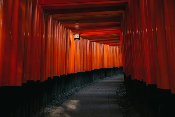 Pathway Torii Gates Fushimi Inari Shrine Night Rain Kyoto Japan — Stock Photo, Image