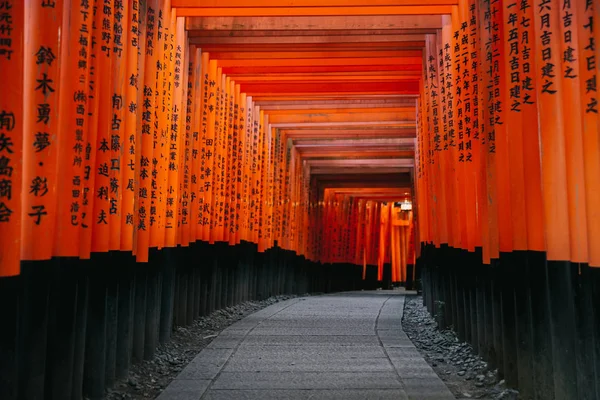 Pathway Torii Gates Fushimi Inari Shrine Night Rain Kyoto Japan — Stock Photo, Image