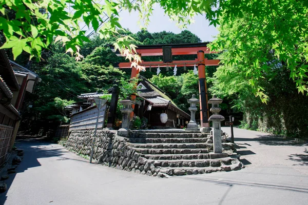Japanischer Tempel Mit Japanischen Ahornbaumblättern Kyoto Vintage Filmstil — Stockfoto