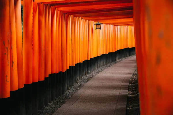 Väg Torii Gates Fushimi Inari Shrine Natten Och Regn Kyoto — Stockfoto