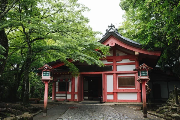 Japanischer Tempel Mit Japanischen Ahornbaumblättern Kyoto Vintage Filmstil — Stockfoto