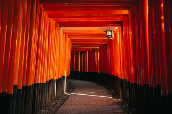 Pathway Torii Gates Fushimi Inari Shrine Night Rain Kyoto Japan — Stock Photo, Image