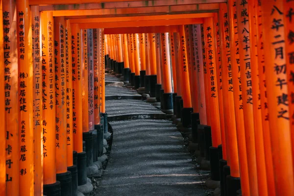 Pathway Torii Gates Fushimi Inari Shrine Night Rain Kyoto Japan — Stock Photo, Image