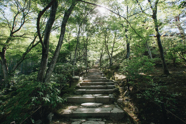 Japanese garden walkway with tree leaves film vintage style