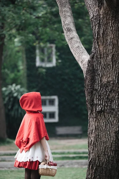 Портрет молодої жінки з маленькою червоною шапочка костюм у Gree — стокове фото
