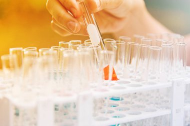 Laboratuvar bilim araştırma cam öğelerini damla birkaç test tüpleri birine ekleme. Bilimsel deneyde Bilim Araştırma Laboratuvarı.