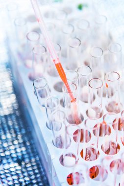 Laboratuvar bilim araştırma cam öğelerini damla birkaç test tüpleri birine ekleme. Bilimsel deneyde Bilim Araştırma Laboratuvarı.