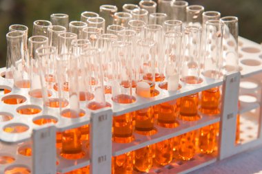 Laboratuvar bilim araştırma cam öğelerini damla birkaç test tüpleri birine ekleme. Bilimsel deneyde Bilim Araştırma Laboratuvarı.