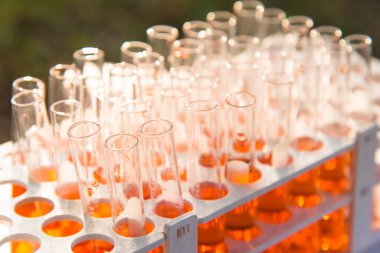 Laboratuvar bilim araştırma cam öğelerini damla birkaç test tüpleri birine ekleme. Bilimsel deneyde Bilim Araştırma Laboratuvarı.