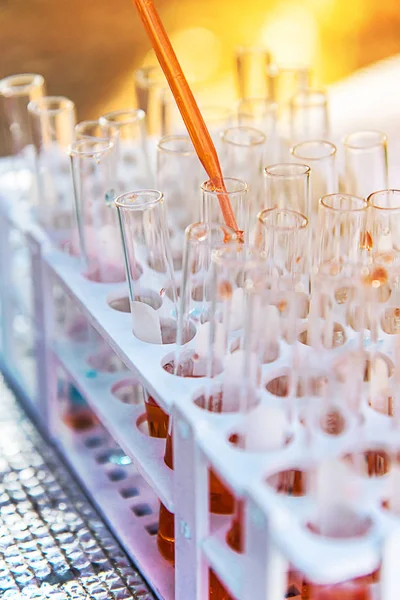 Lab Science Research Glass Items Adding Drop One Several Test — Stock Photo, Image