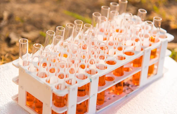 Laboratuvar bilim araştırma cam öğelerini damla birkaç test tüpleri birine ekleme. Bilimsel deneyde Bilim Araştırma Laboratuvarı.